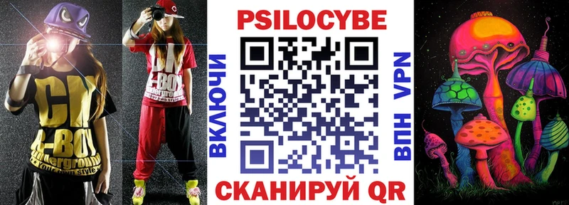 Купить где  Истра  Галлюциногенные грибы Psilocybe 